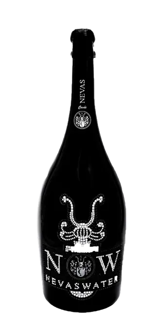 Badoit Sparkling Natural Mineral Water Glass Bottle