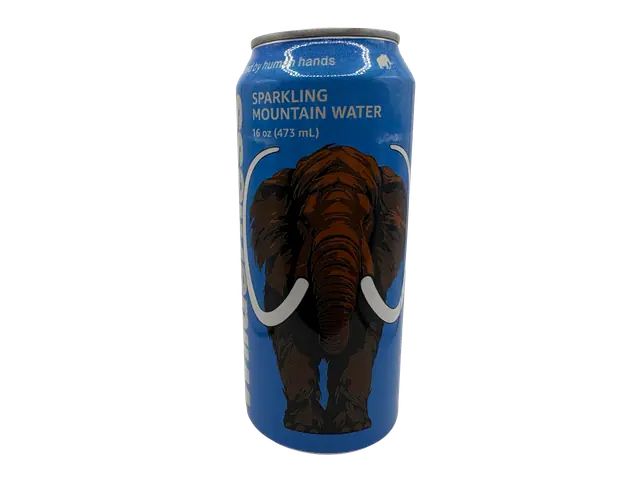 Wilderness Sparkling Mountain Water Can