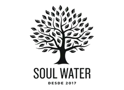 Soul Water